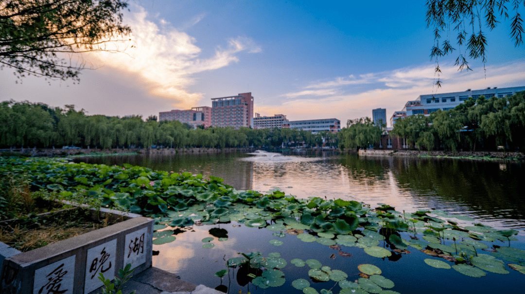 天津大学生日快乐