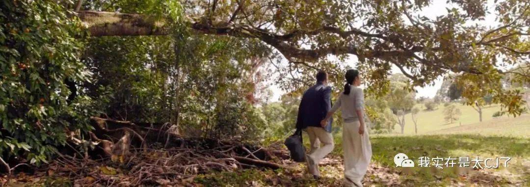 夫妻俩|这对cp又让谁的dna动了？