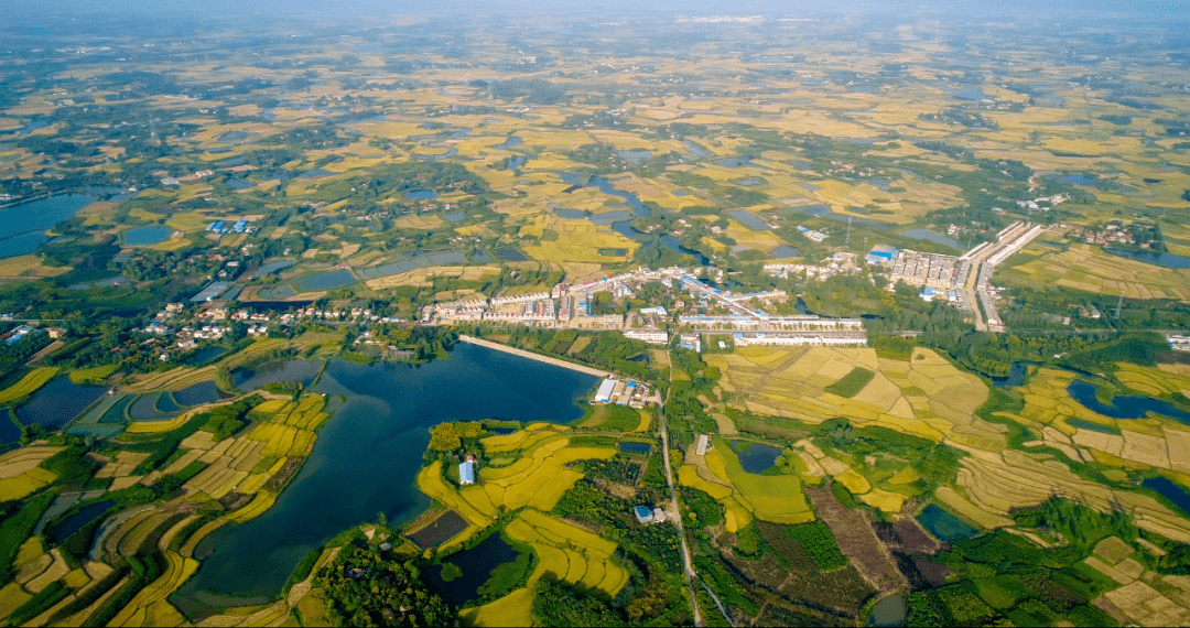 魅力潢川乡镇行稻香田畔潢河长产业振兴数魏岗