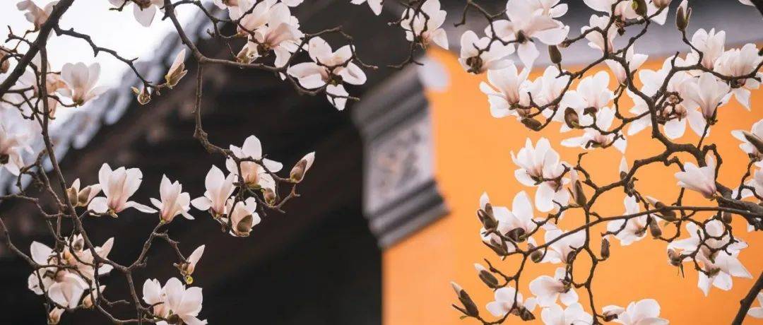 生活百般滋味,人生需要笑对!_少而