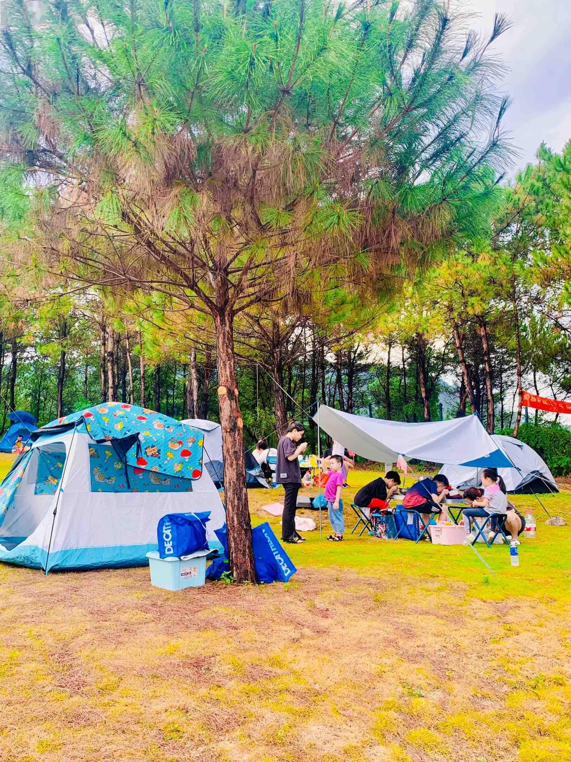 国庆假期广州个性化乡村旅游体验吸引城市客