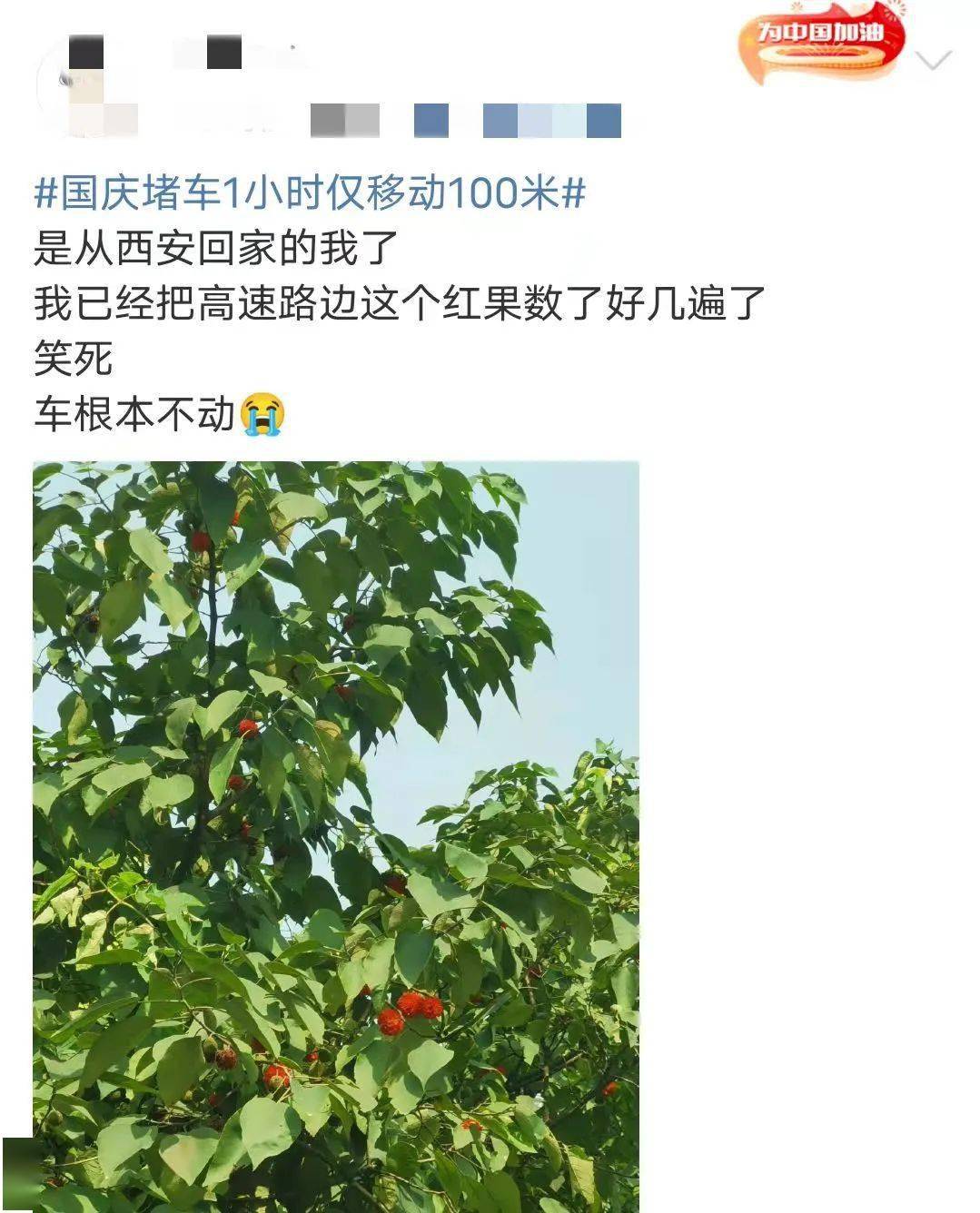 国庆第1天堵到昏天黑地！1小时仅移动100米，再堵下去都能赶上年夜饭了！