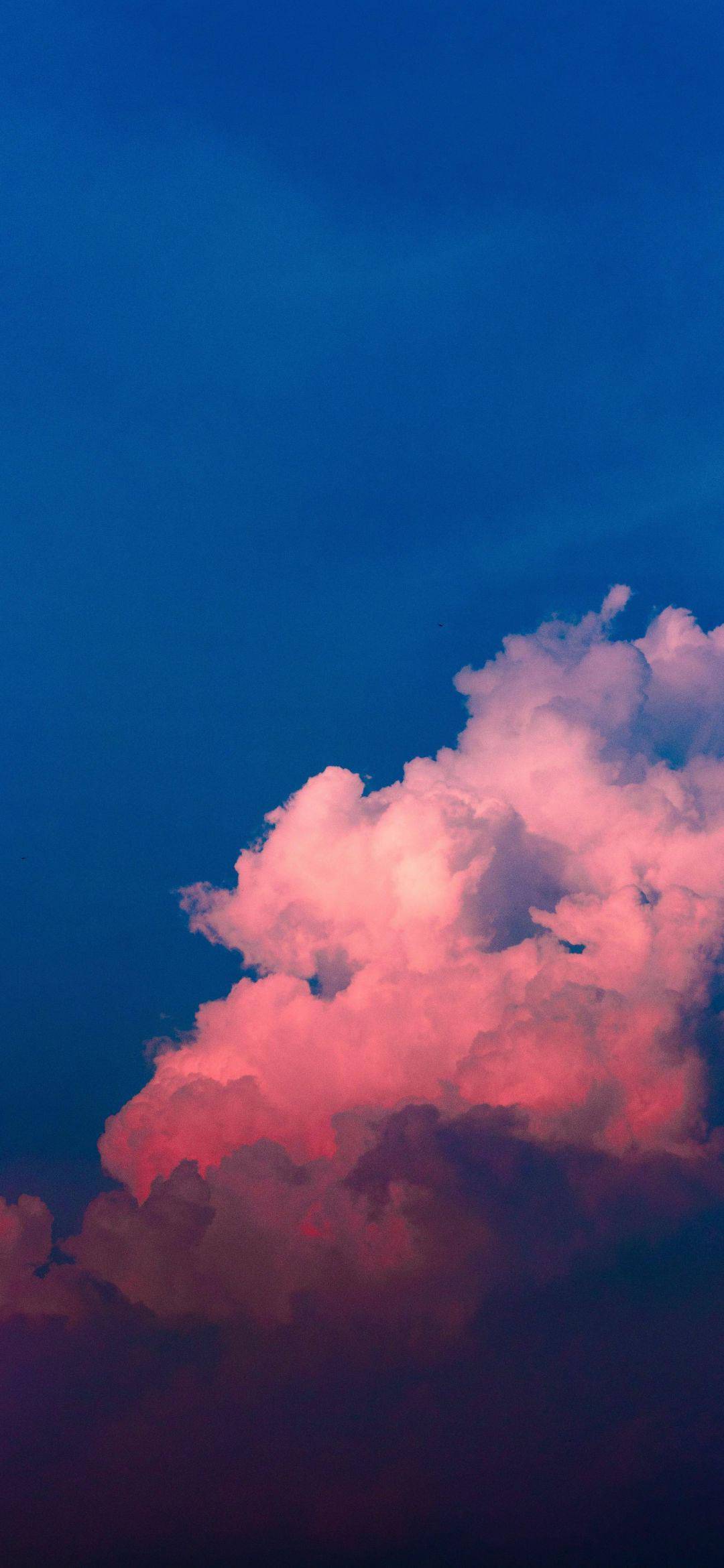 免费手机壁纸超清全面屏 51e09f1f6ff445c5b33e346b6b9cec32.jpeg