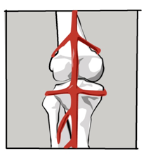 一二九街|膝盖发凉是大事，如果不重视......