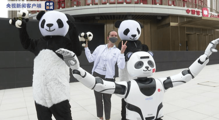 迪拜世博会中国馆熊猫周开幕 网红熊猫机器人“萌化”世博园