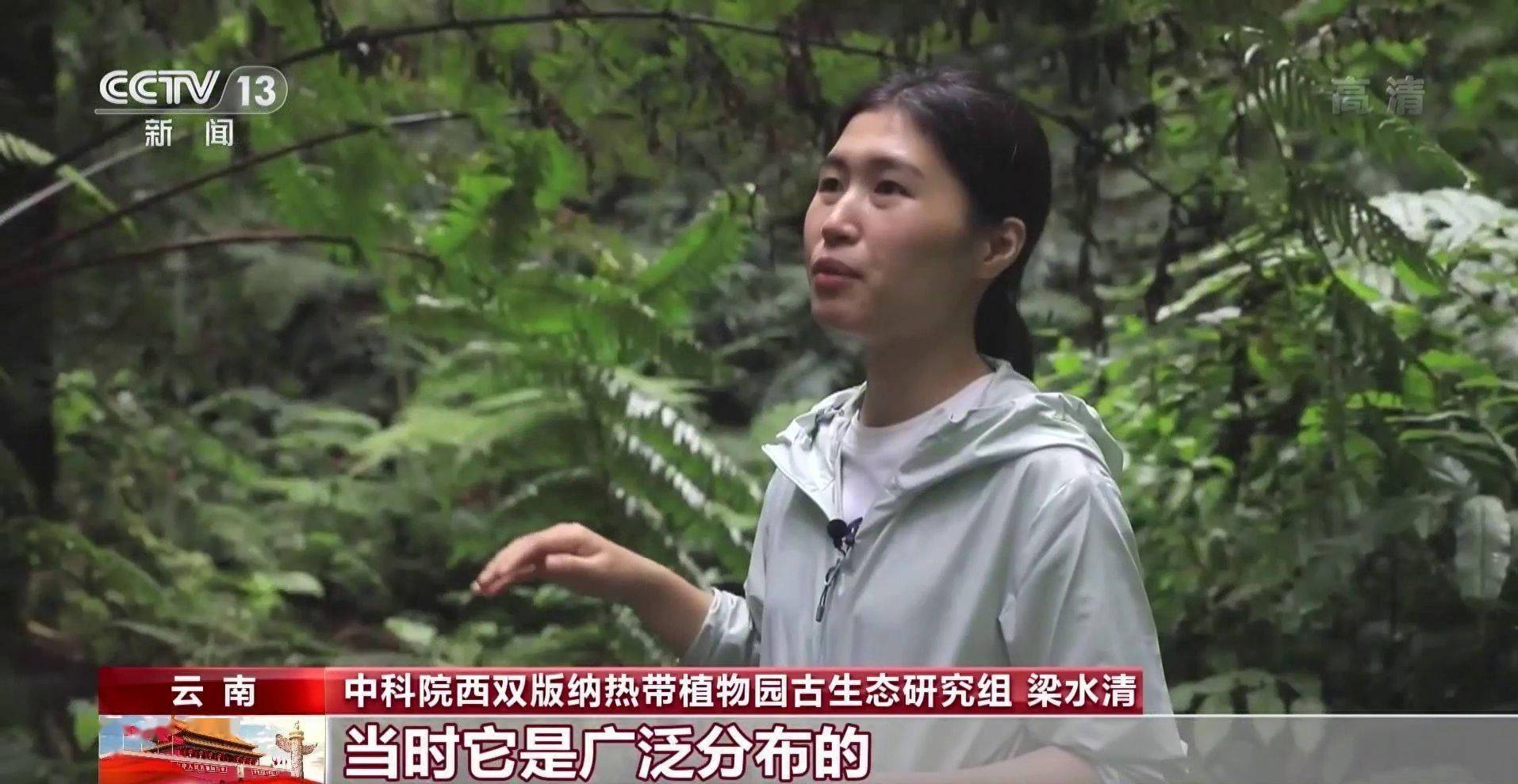 化石|云南禄丰恐龙科考“啃硬骨头”：恐龙化石如何修复？