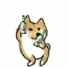 表情包怎么添加gif eb4e3f7fd3714eaeb1f77a2f808290c4.gif