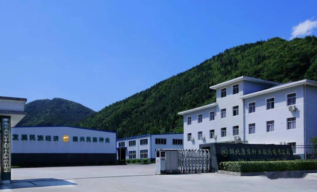 湖北康农种业股份有限公司三,创品牌提升特色产业影响力好的产品卖出