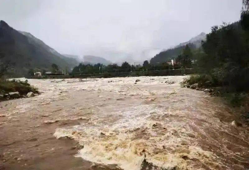 游客|泰山顶上游客挤厕所避寒过夜，多地关停，2万余人紧急撤离！