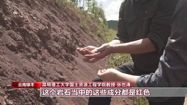 侏罗纪|云南禄丰恐龙科考工作进入“啃硬骨头”阶段 恐龙化石是如何修复的呢？