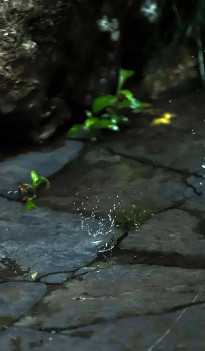 40d1d9b77a744ff8a1f9d03434a09d28.jpeg