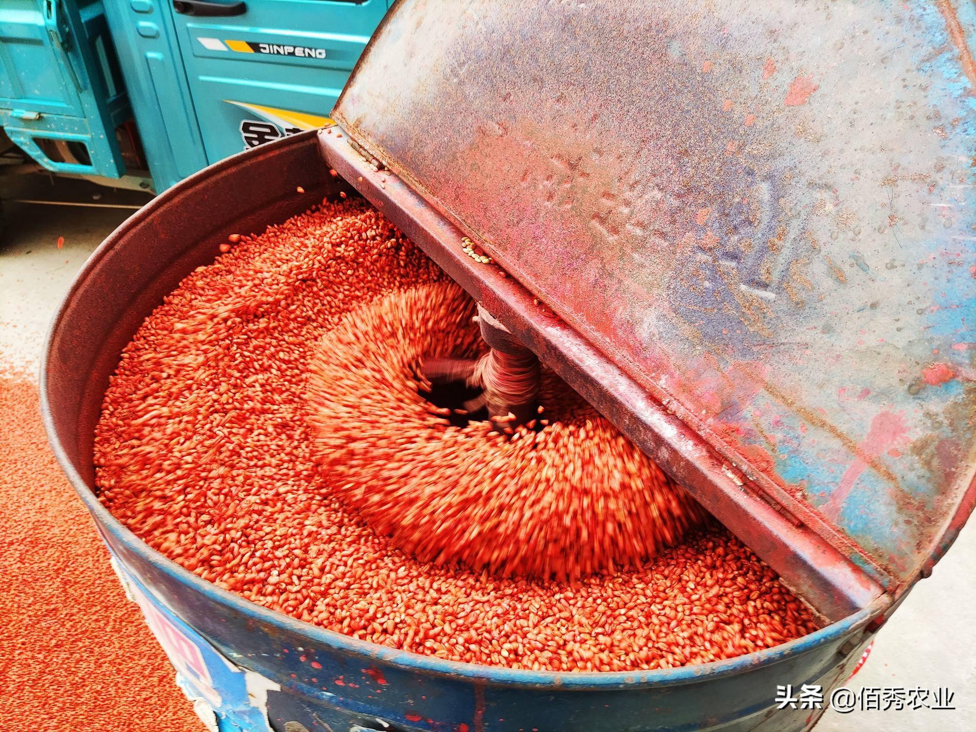 小麦易发生的4种病害能通过拌种解决吗农业专家给出答案