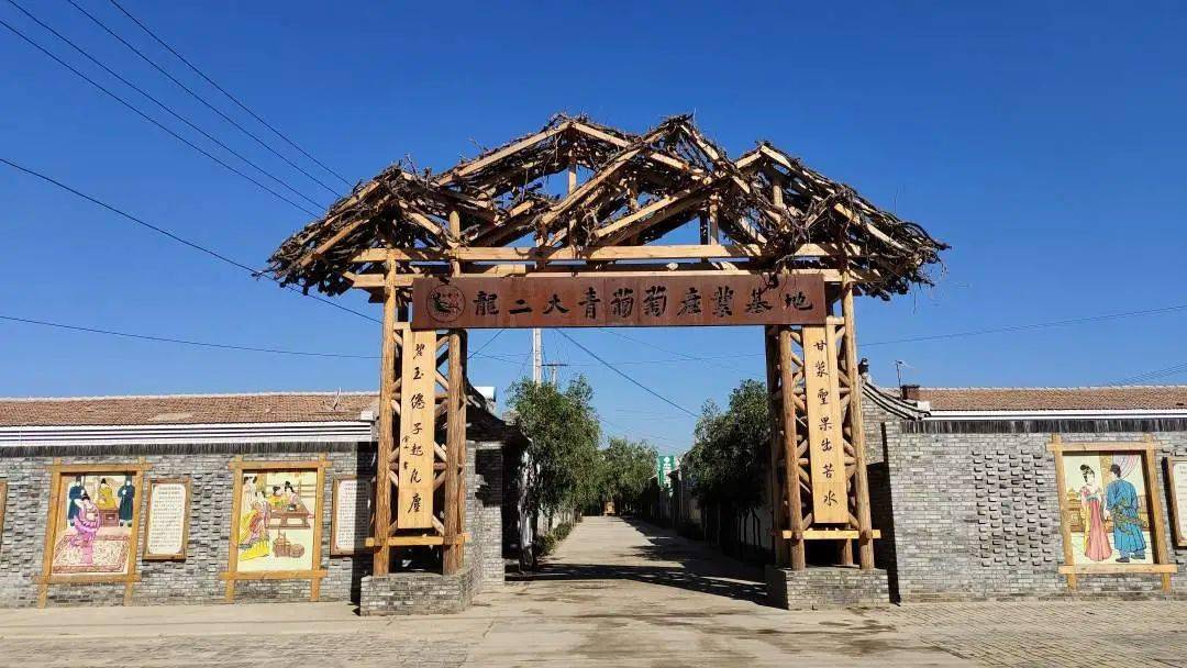 乡村变化看小康宁夏利通区白寺滩村大青葡萄特色产业拓宽村民致富路