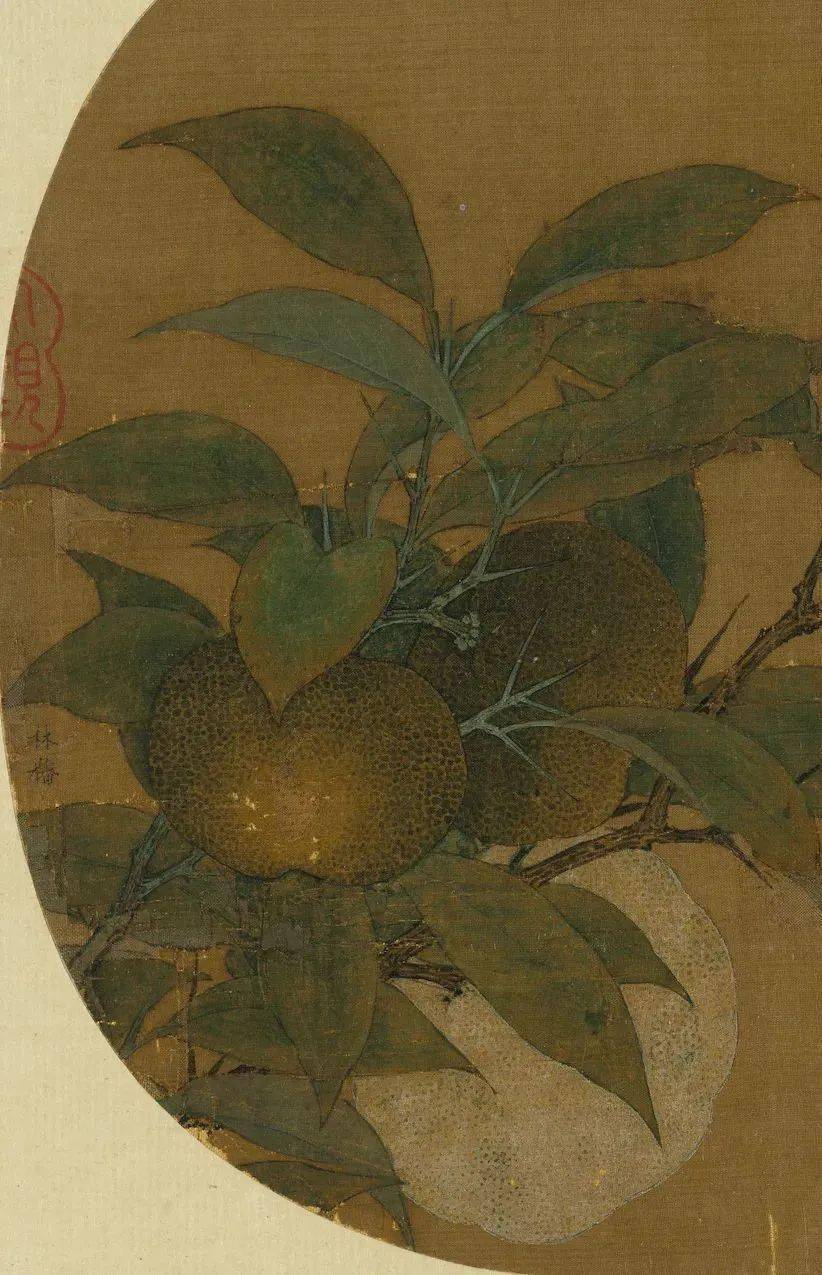 林椿《橙黄橘绿图》整理编缉_《当代国画》文章来源_网络69林椿