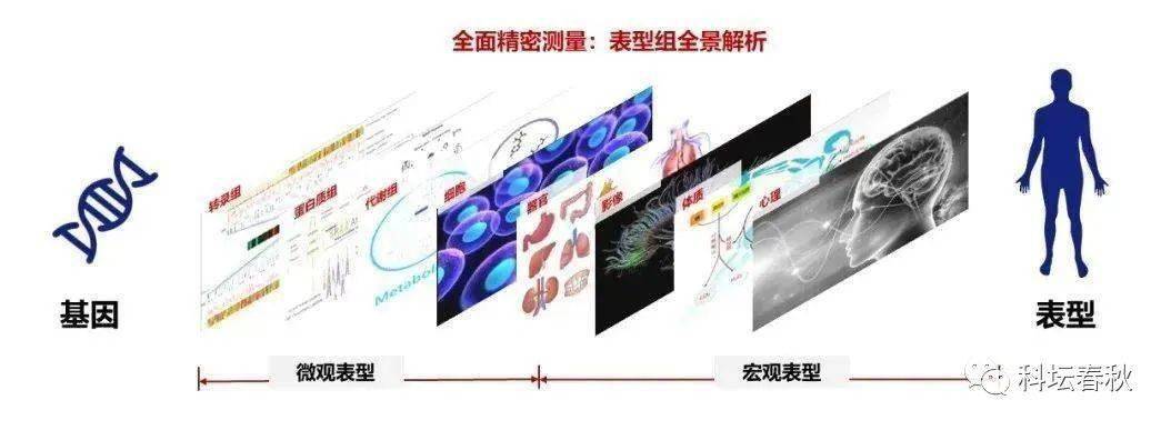 探秘复旦人类表型组研究,测试几万个数据,为何能破解生命之谜?_基因