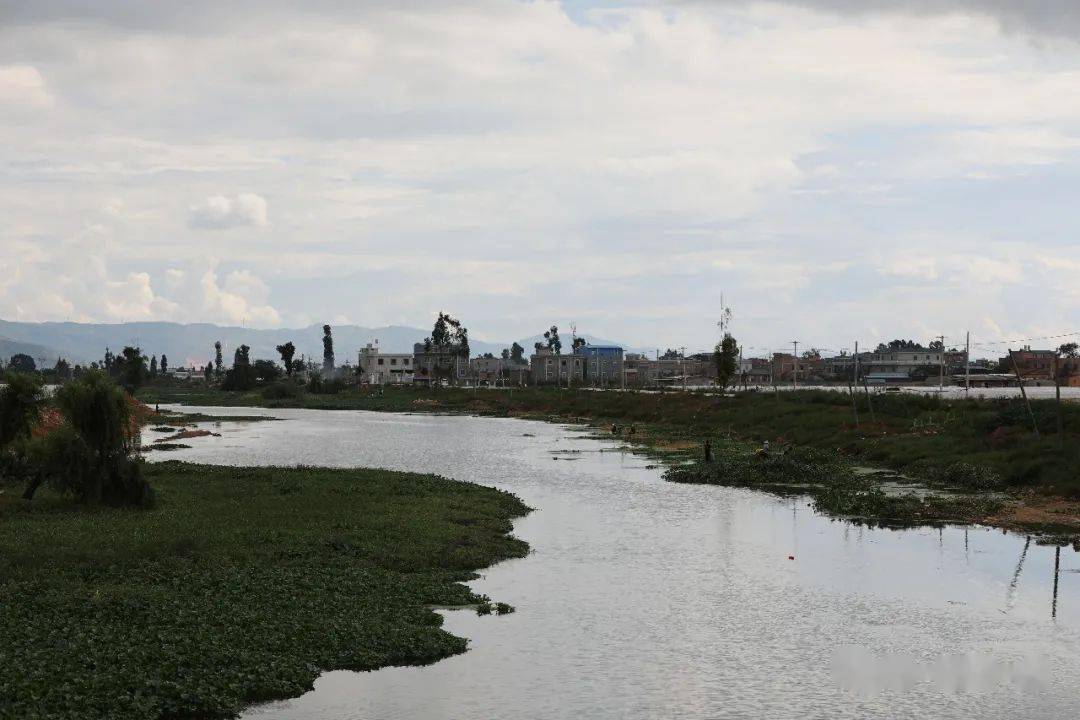 云南陆良寻访南盘江的新河故道