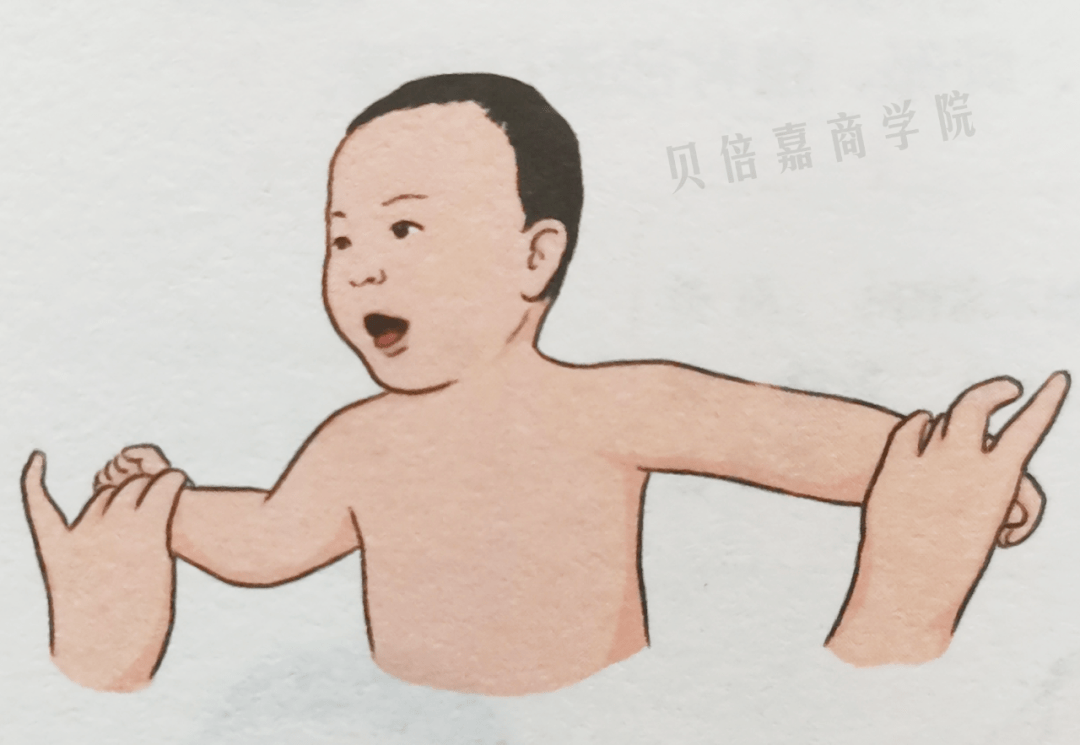 3a513d6b899f4040a7486a72728b48cd.png