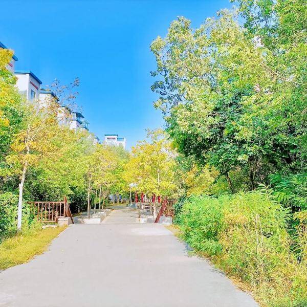 乌鲁木齐市|寒露至，秋更浓，幸福不过有人为你添衣