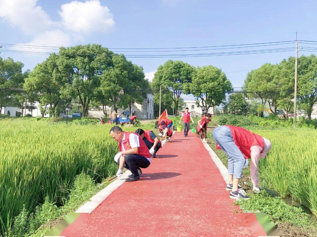 双塔桥村田园健身步道延伸乡村诗意生活