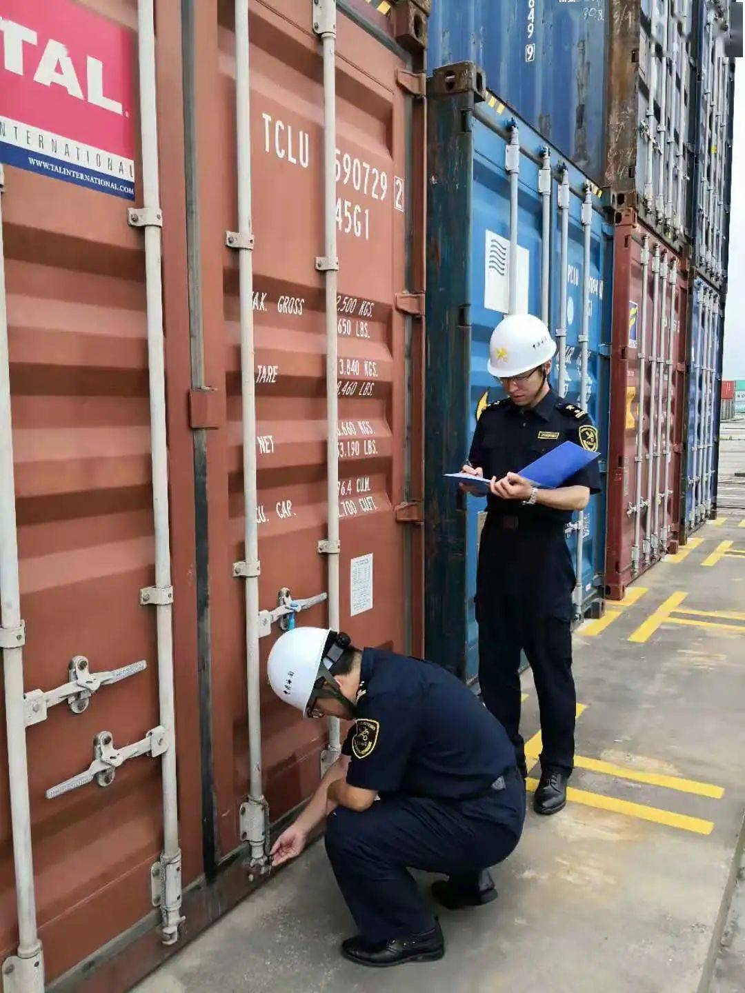 10月3日晚上九点半,宁波舟山港甬舟集装箱码头依然灯火通明.