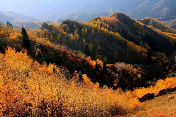 乌鲁木齐市|寒露至，秋更浓，幸福不过有人为你添衣