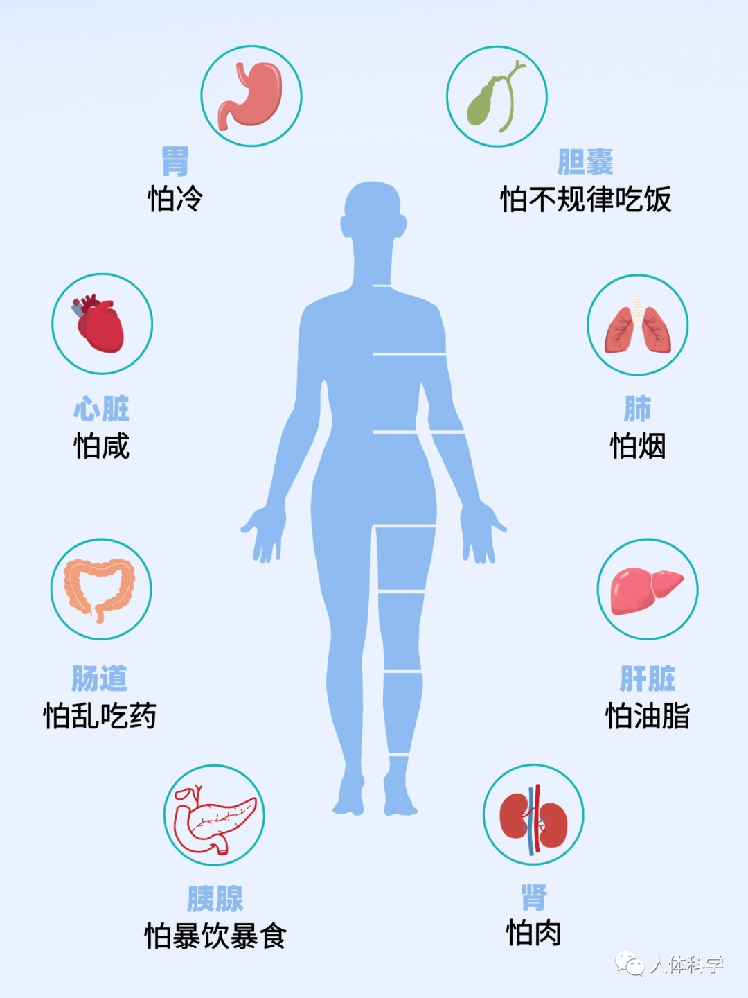 【器官保养】你的身体器官最怕什么呢?_管理