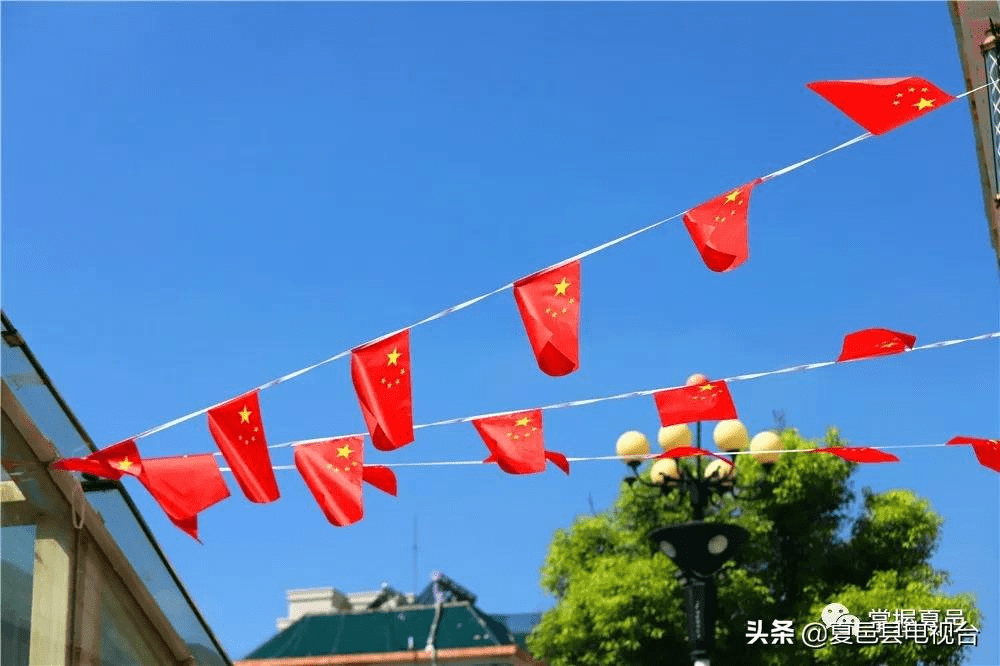 假期期間,我們錯過了夏邑這條路的風景_五星紅旗