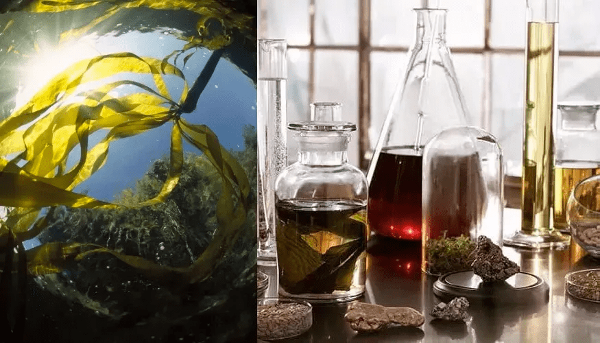 芮翰全网跟风的“雅诗兰黛高级脸”究竟长什么样？