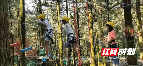 景区|22.5亿元！国庆小长假，邵阳这些地方火了