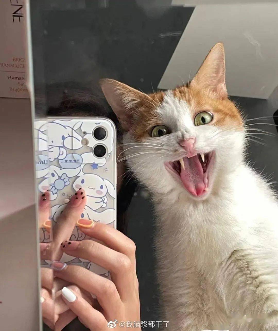 复合|张碧晨华晨宇复合遭曝光?!网友惊呆:原来小丑竟是我自己…