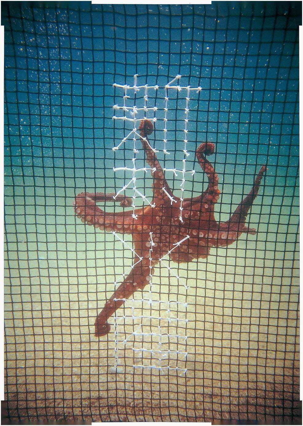 让muji海报更有手作感的艺术总监不是原研哉而是他