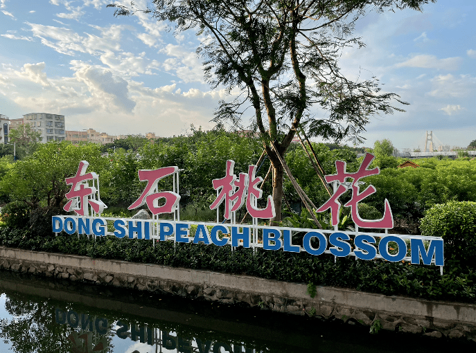 海北東石桃花園煥然一新未來將打造成桃花主題體驗式農業公園