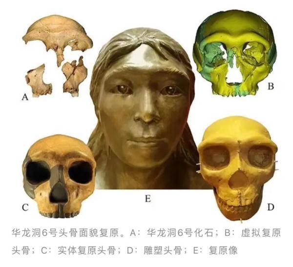 人类|科学家复原东至华龙洞古人类容貌 呈现丰富现代人面部特征