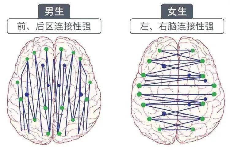 男女思维的差异在哪里哈哈哈哈哈太真实了