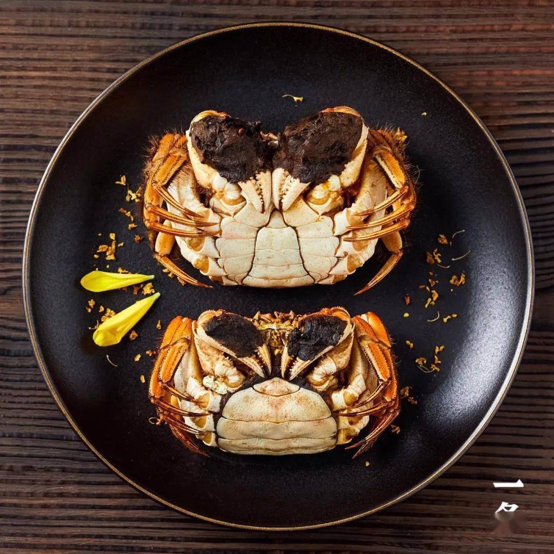 阳澄湖大闸蟹来了!流金般的蟹黄,凝脂似的蟹膏,又大又肥!