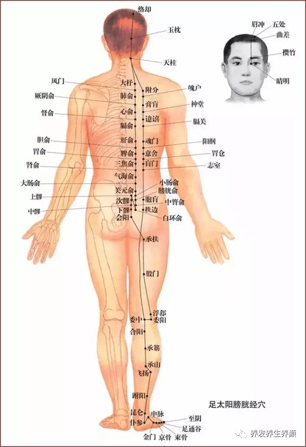 5de6e108bbf24ba1a115aeefd0686bc2.png