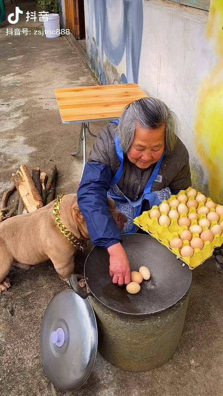奶奶神奇的鸡蛋恶霸犬搞笑视频