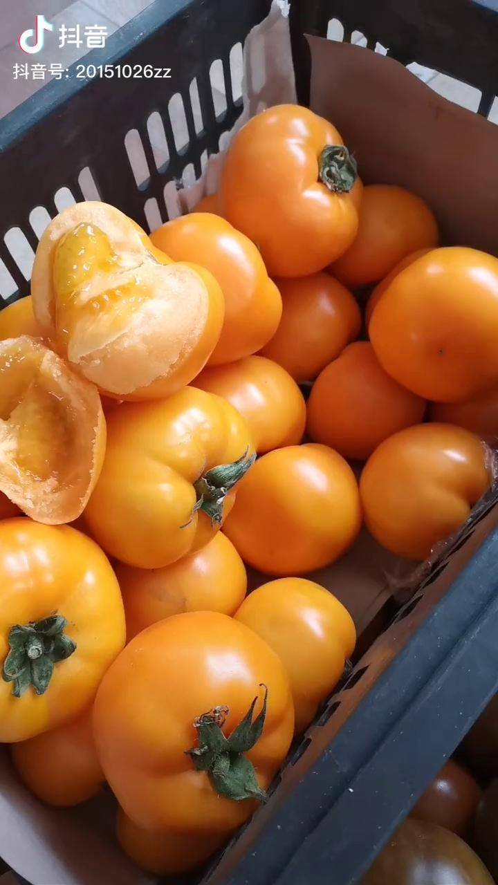 正宗农家东北各种大柿子