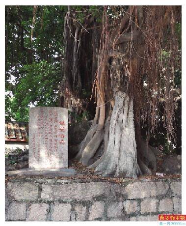 朱元璋|【走读古城】蓬洲所城：城垒倾圮古祠存 至今犹说蓬洲扇