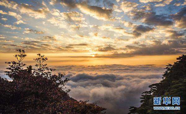 霞光|安徽黄山：秋日云海披霞光