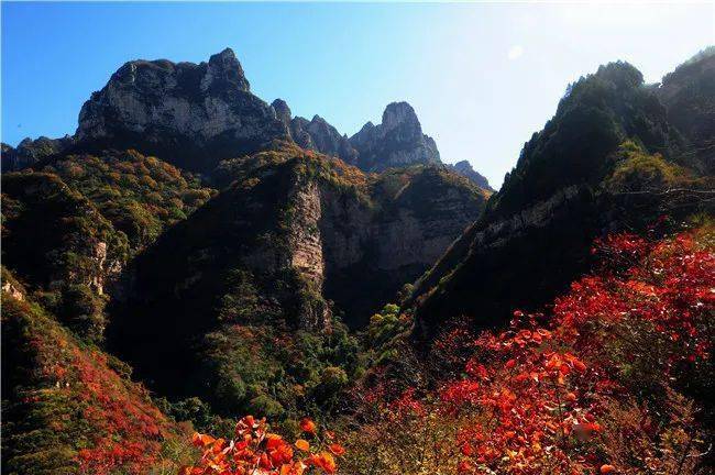 aaa级旅游景区建龙钢铁文创园,山西省aaa级乡村旅游示范村上镇腾龙岭