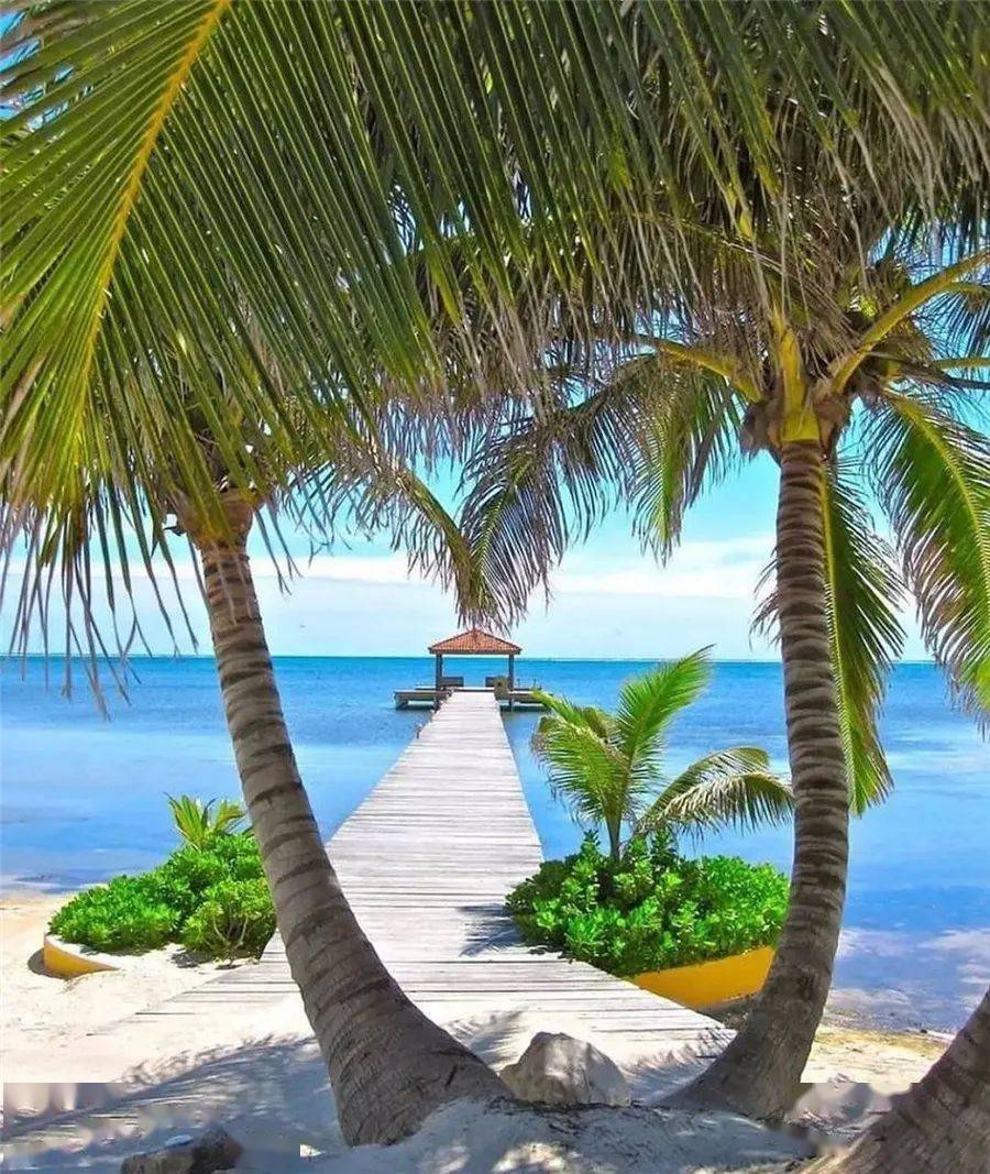 1fuhua.com.photo by ins@sousa_pr.1fuhua.com.