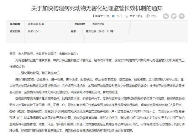宠物APP开发：打造与爱宠更亲密的关系