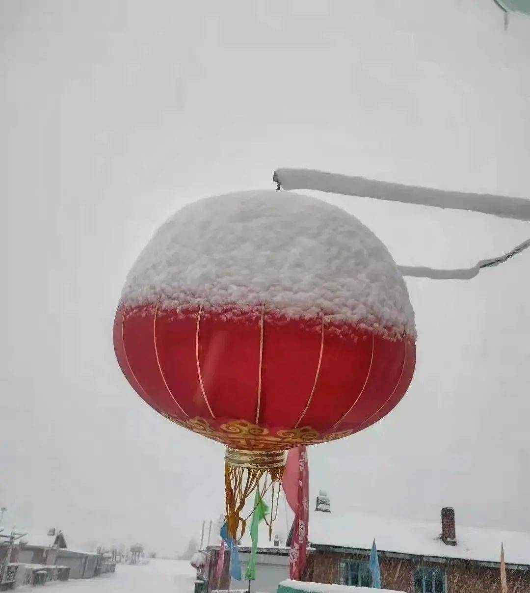 雪后内蒙古，美且暖！