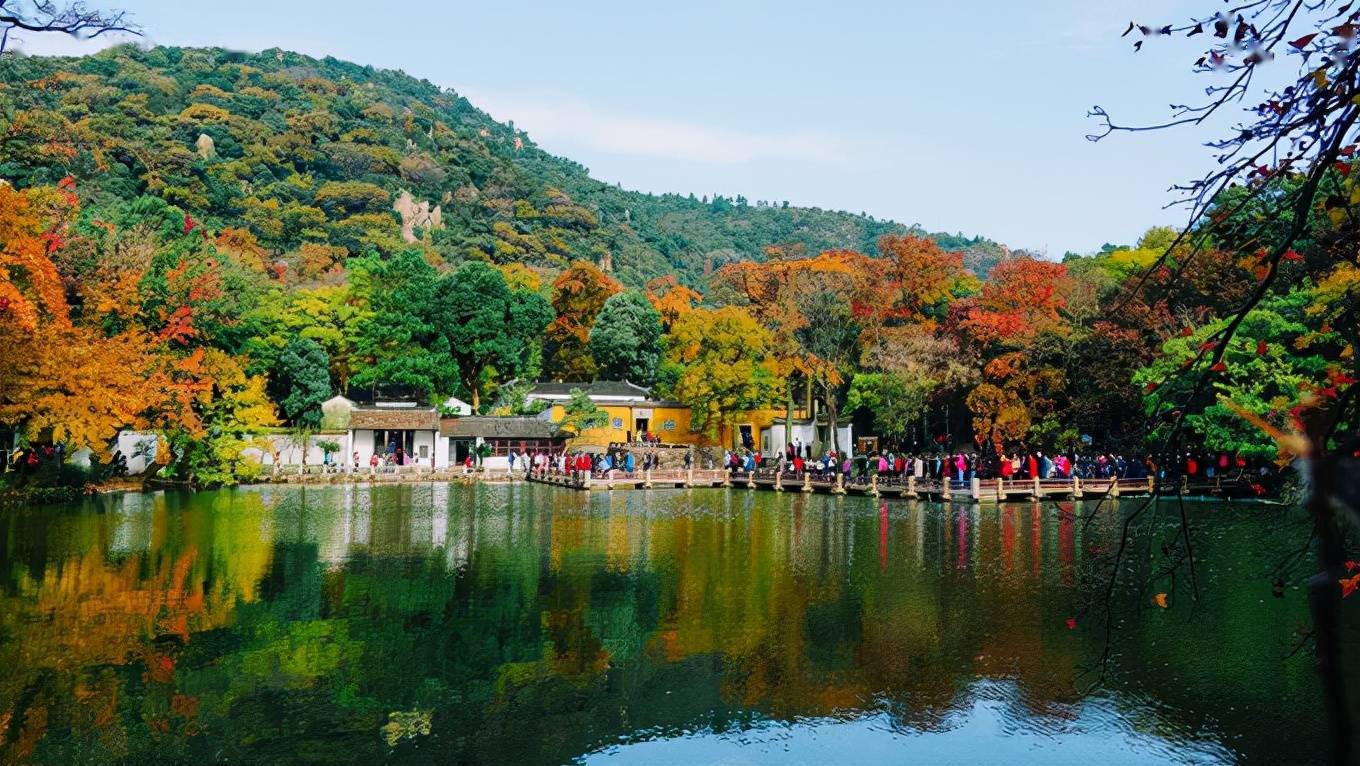 苏州天平山,中国四大赏枫胜地之一,隐藏着一个五色并存的秋天