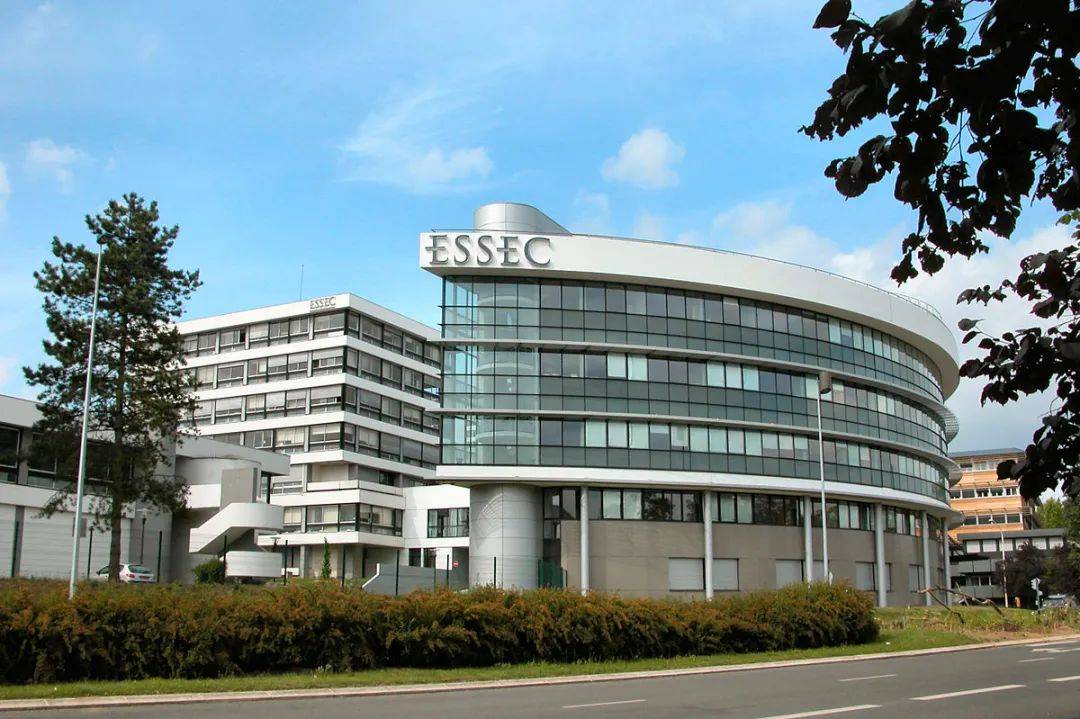 迎接真实的挑战——ESSEC 亚太校区初级咨询师体验项目（Junior Consultant Experience）经验分享_课程