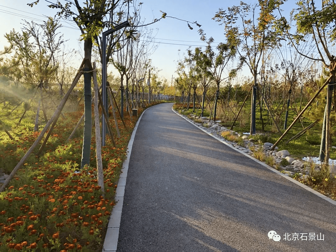 衙門口城市森林公園:京西最大規模的留白增綠片區_生態