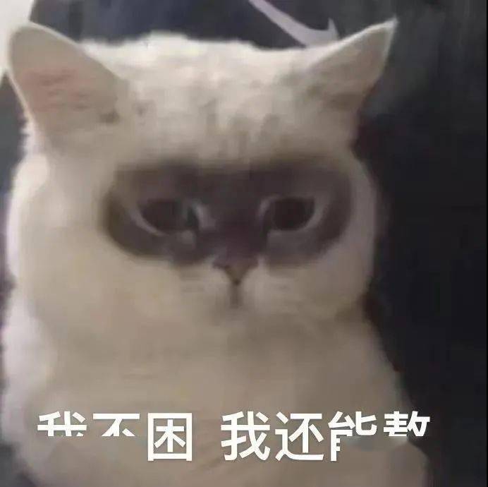 a2300c29ef314b11b608ae7f5b35abe8.jpeg