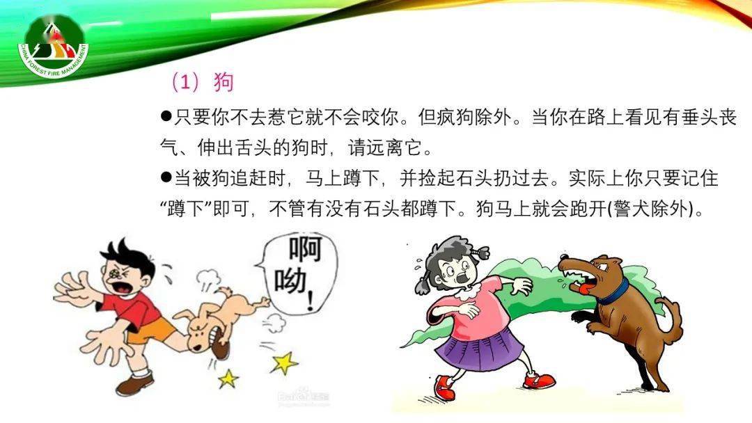 攀高枝什么成语_成语故事简笔画(4)