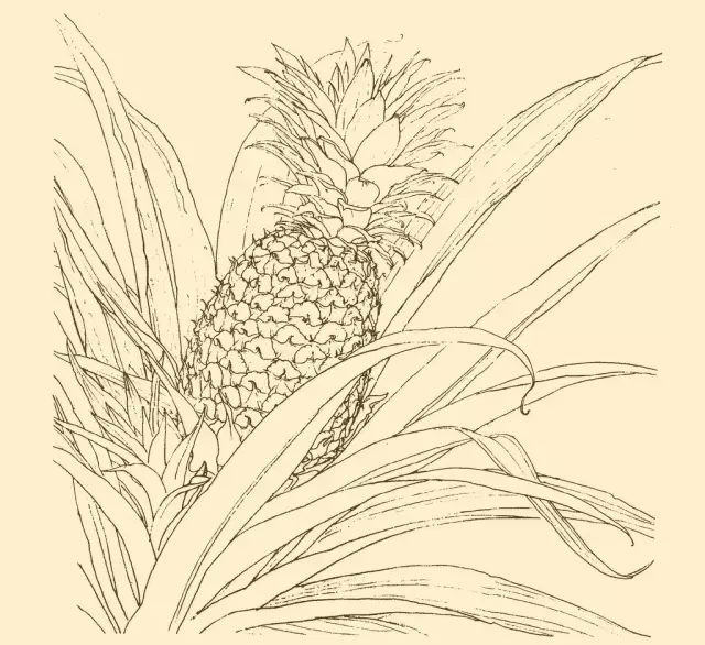 d00118cab7e746c09a9a2a2b5e601ab0.png